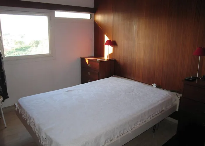 Apartament 3 Pieces Avec Clim, Wifi, Parking Saint-cyprien - Fr-1-106-62